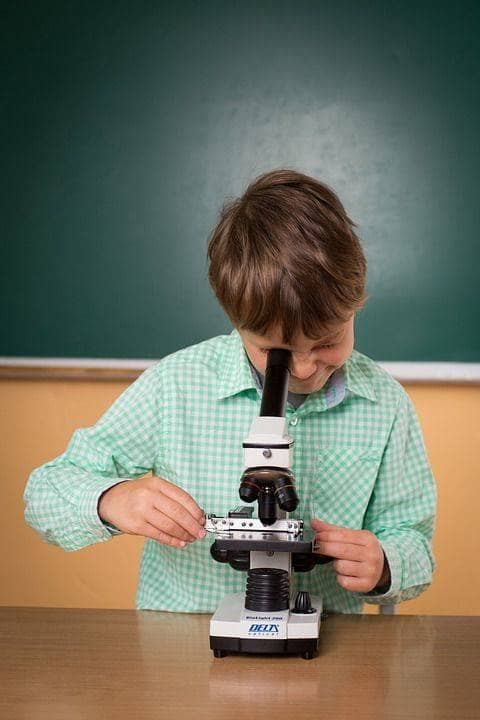 Ein kleiner Forscher, der durch ein Mikroskop schaut